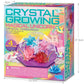 Crystal Growing Unicorn Terrarium