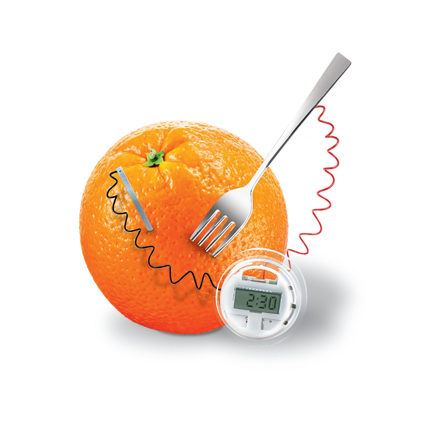 STEAM Powered Kids Kitchen Science