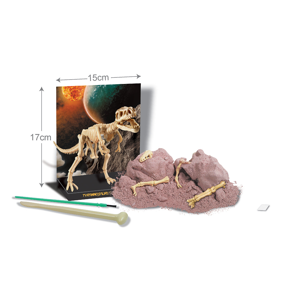 Tyrannosaurus Rex Skeleton Excavation Kit