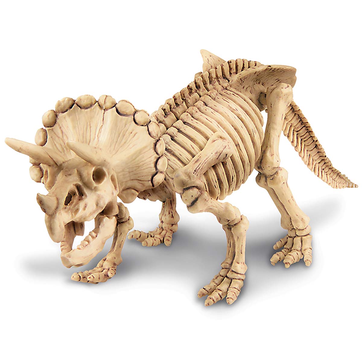 Triceratops Skeleton Excavation Kit
