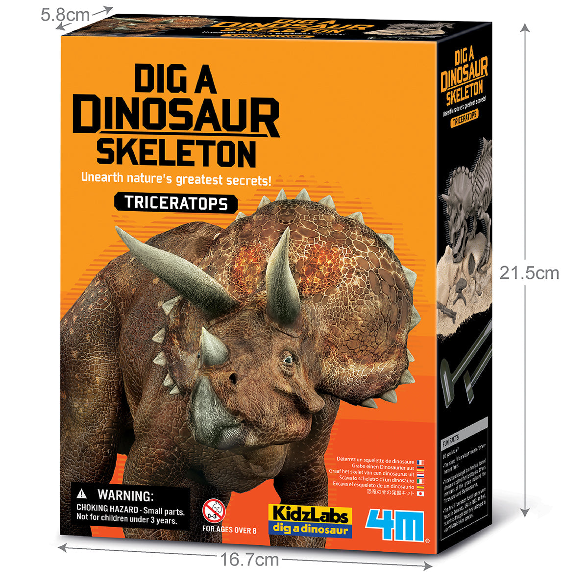 Triceratops Skeleton Excavation Kit