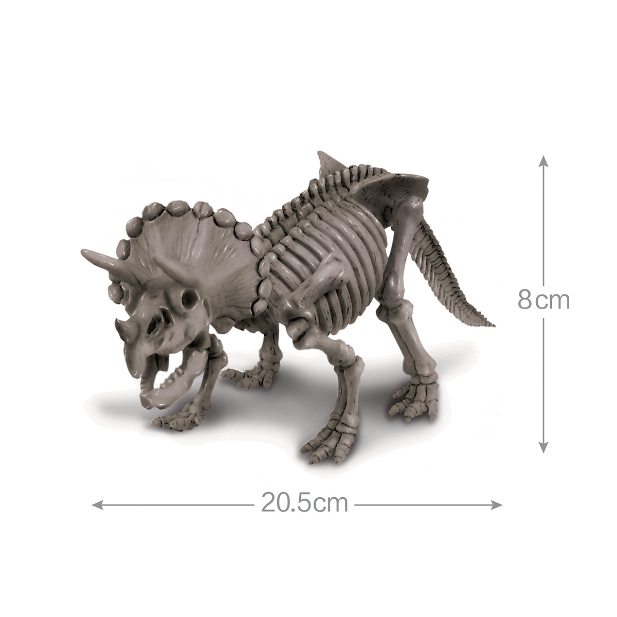 Triceratops Skeleton Excavation Kit