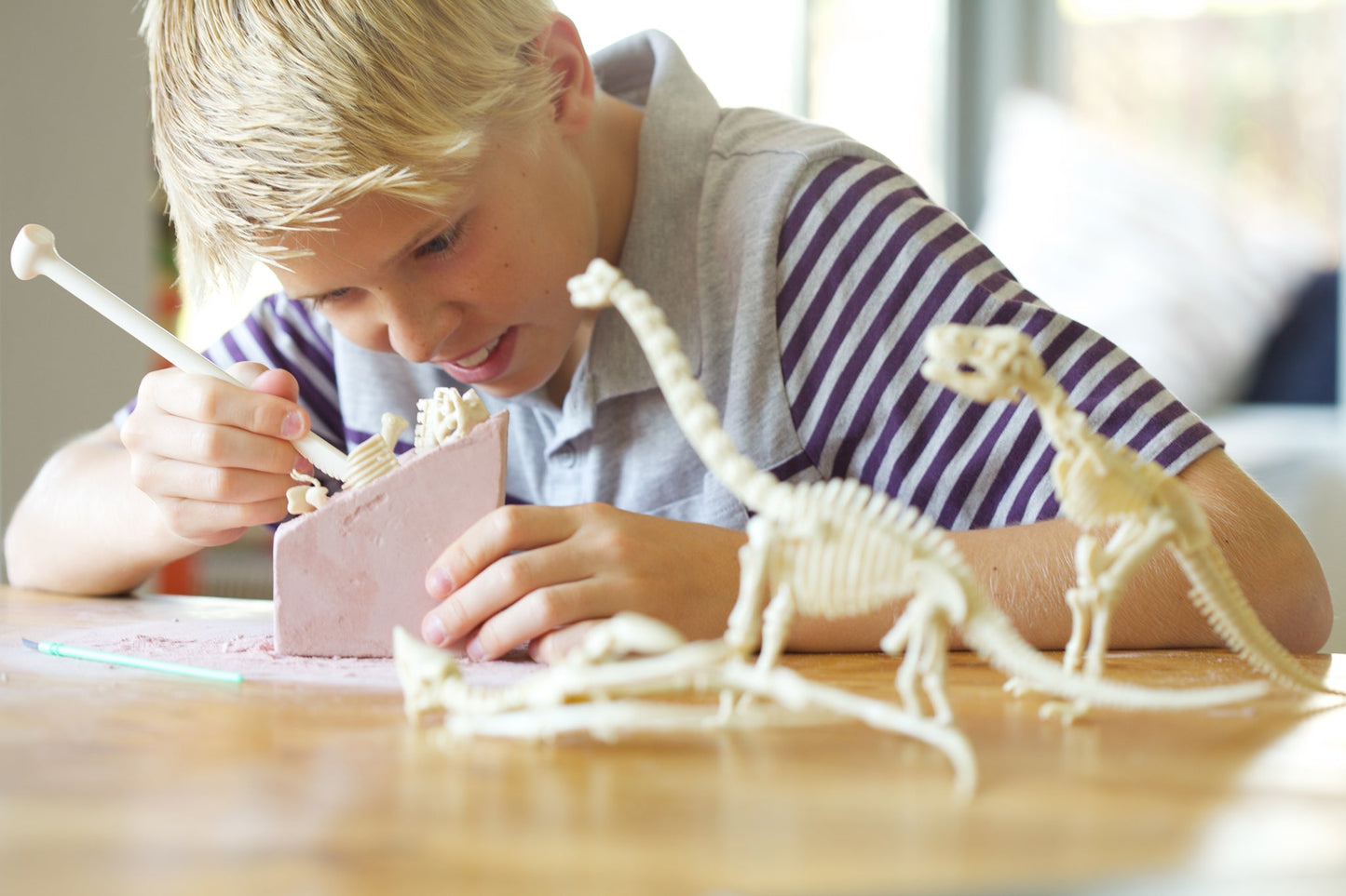 Triceratops Skeleton Excavation Kit
