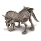 Triceratops Skeleton Excavation Kit
