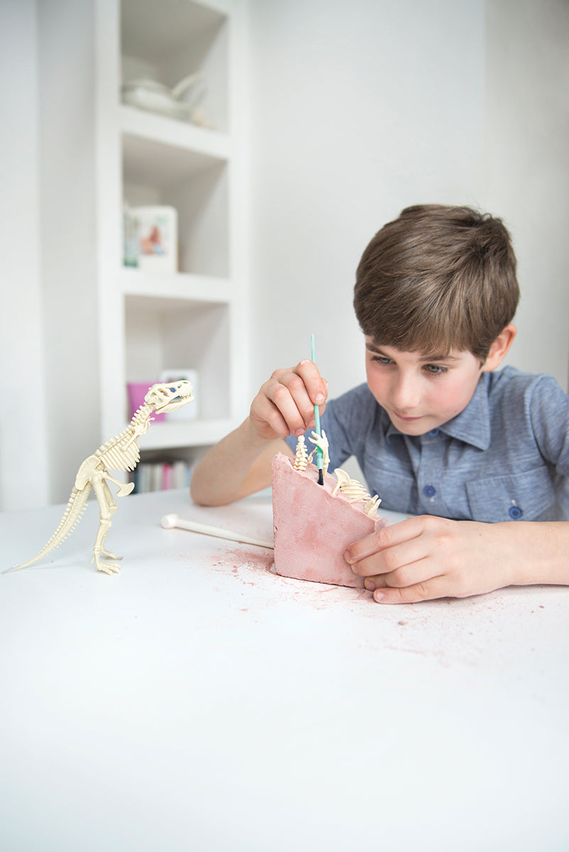 Triceratops Skeleton Excavation Kit