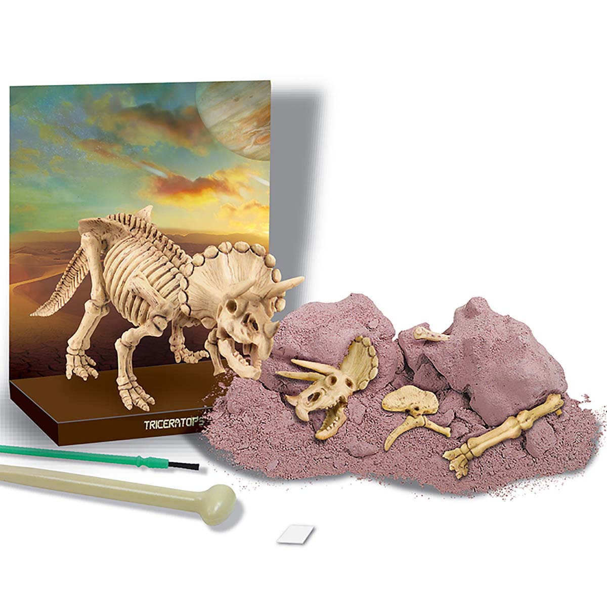 Triceratops Skeleton Excavation Kit