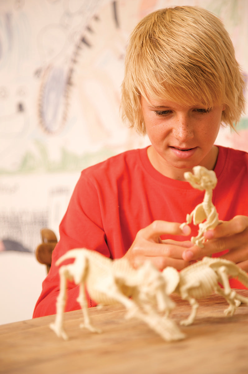 Triceratops Skeleton Excavation Kit