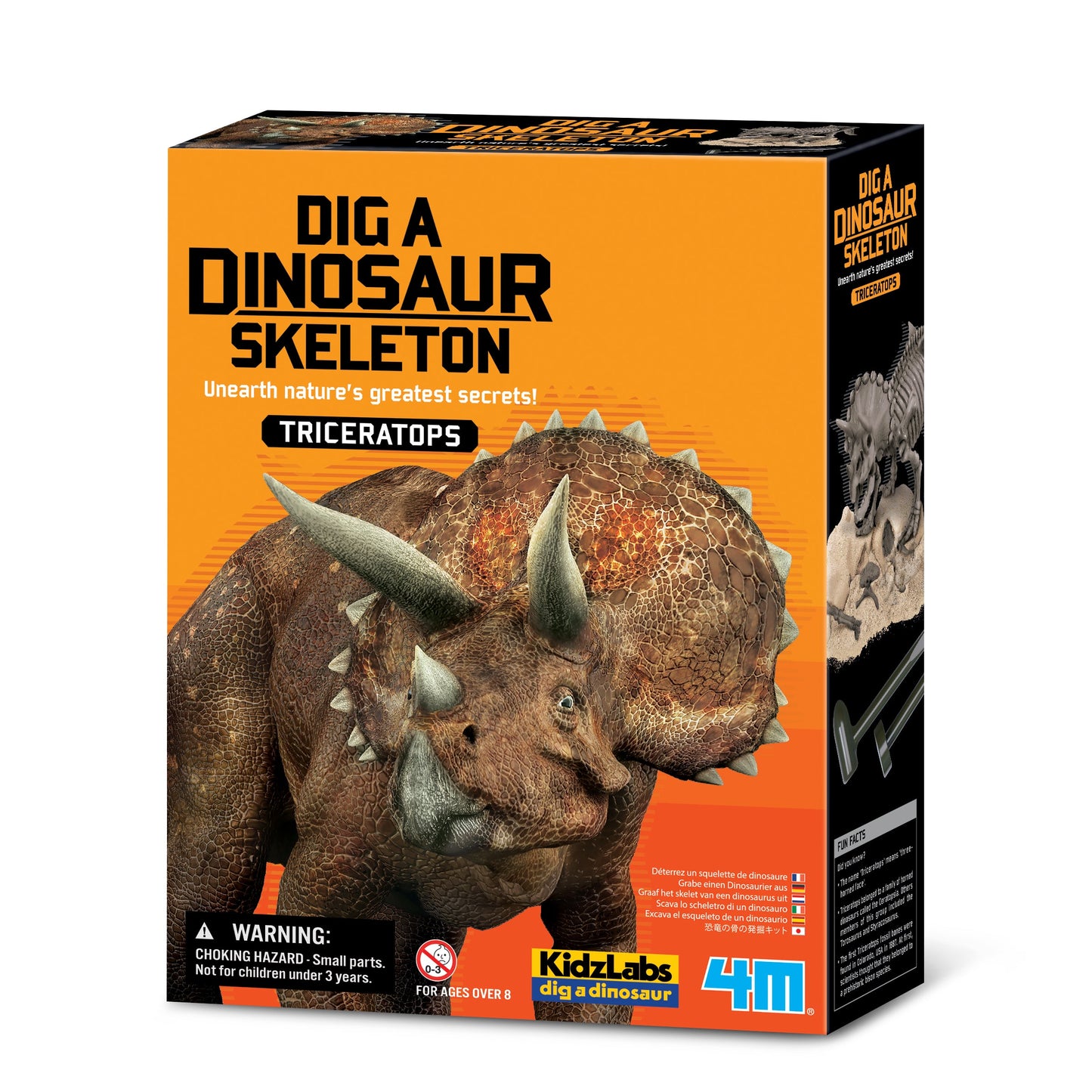 Triceratops Skeleton Excavation Kit