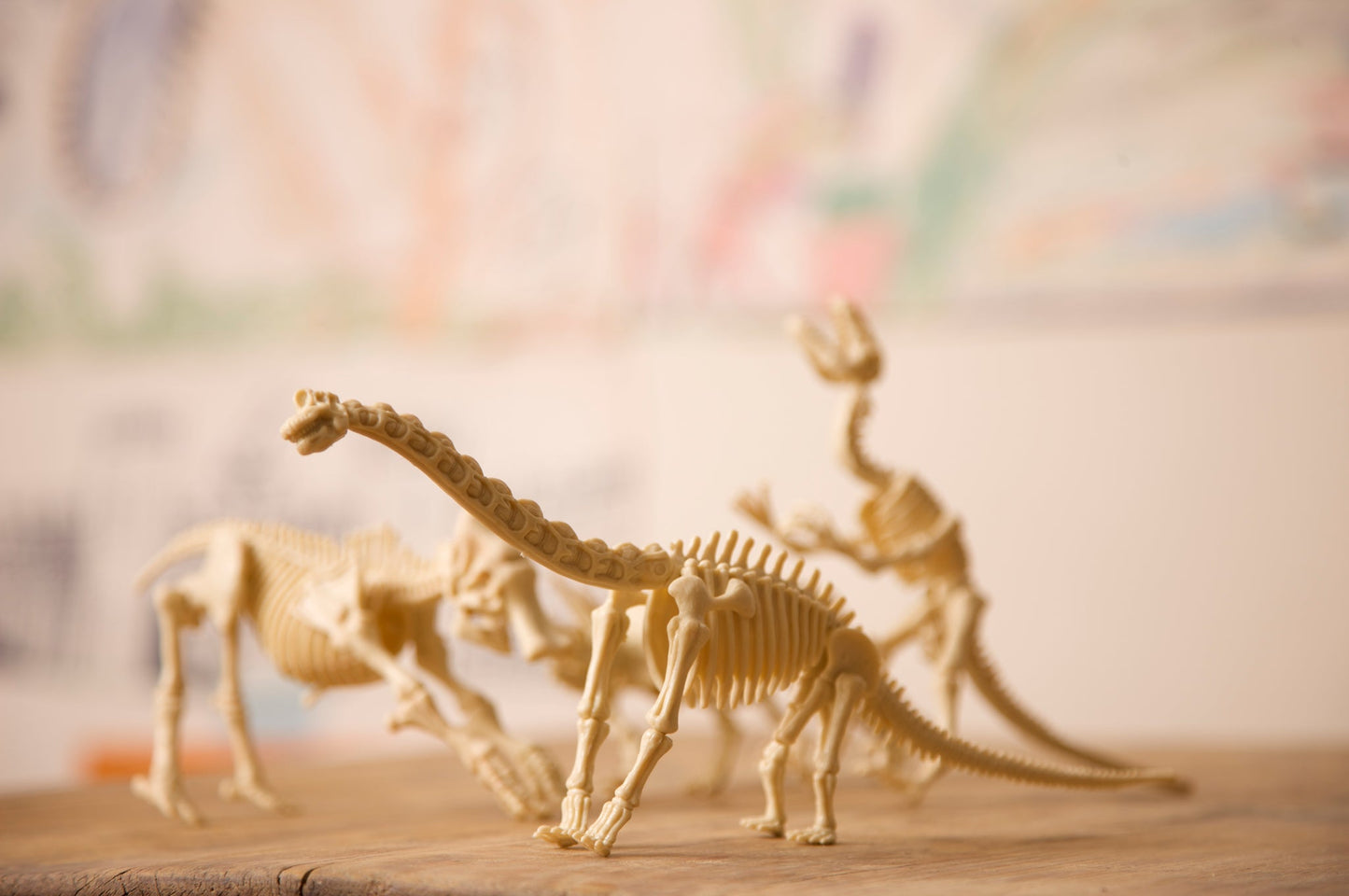 Stegosaurus Skeleton Excavation Kit