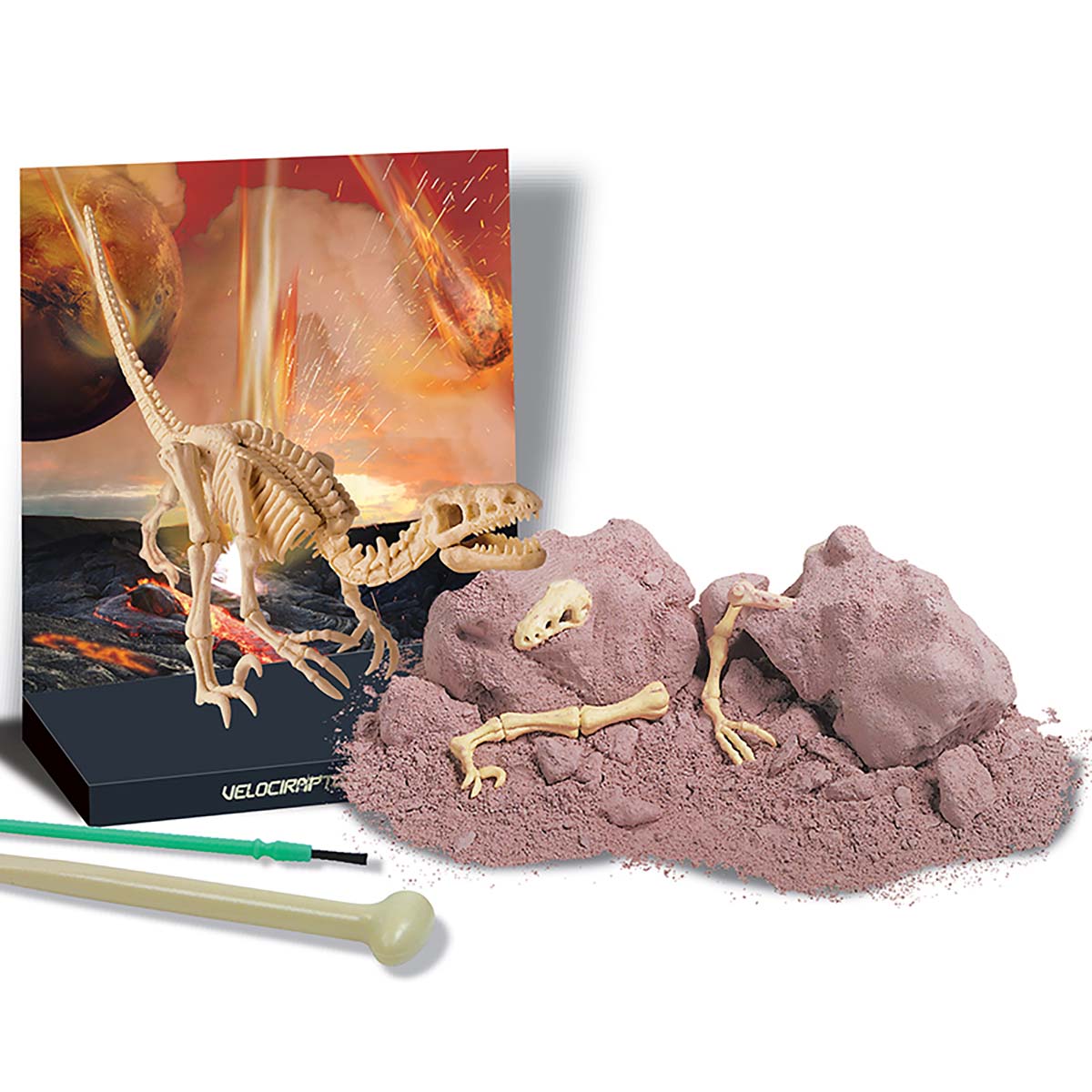 Velociraptor Skeleton Excavation Kit
