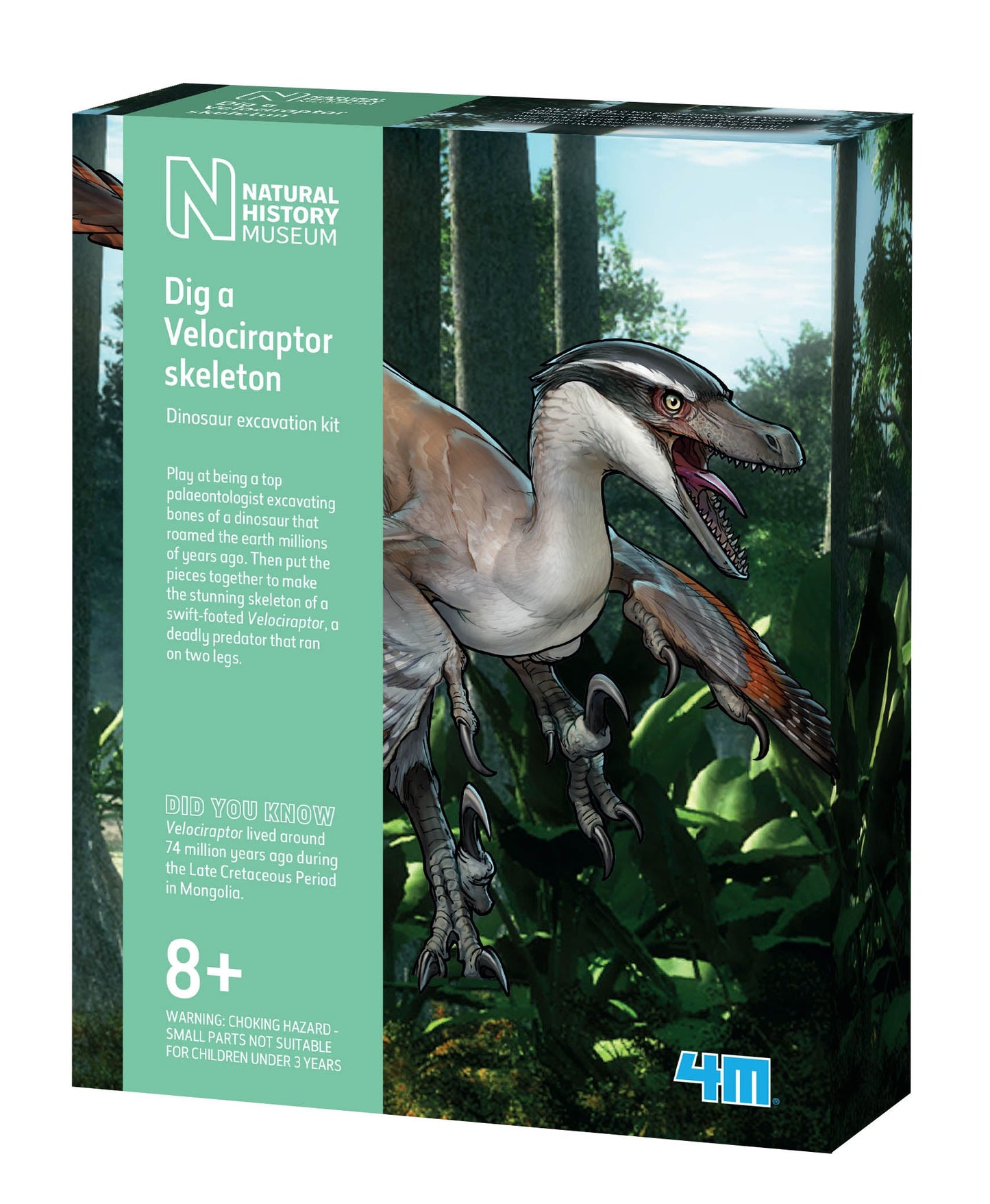 Natural History Museum Dig a Velociraptor Skeleton