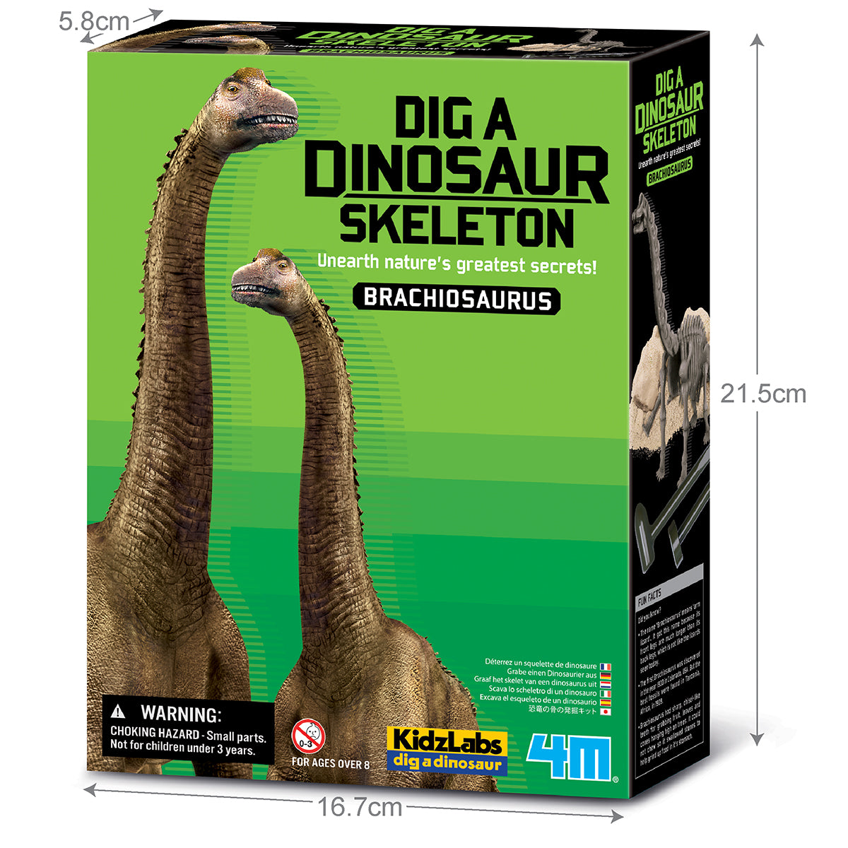 Brachiosaurus Skeleton Excavation Kit