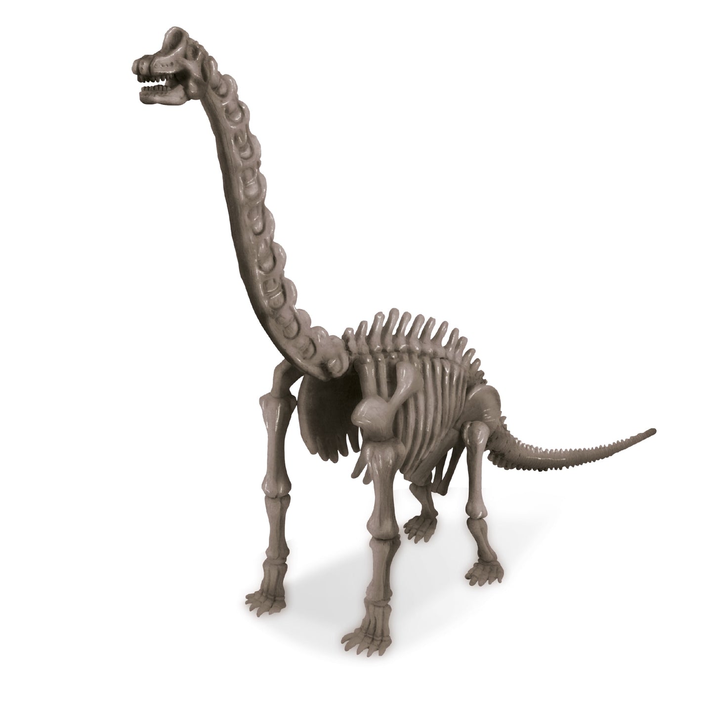 Brachiosaurus Skeleton Excavation Kit