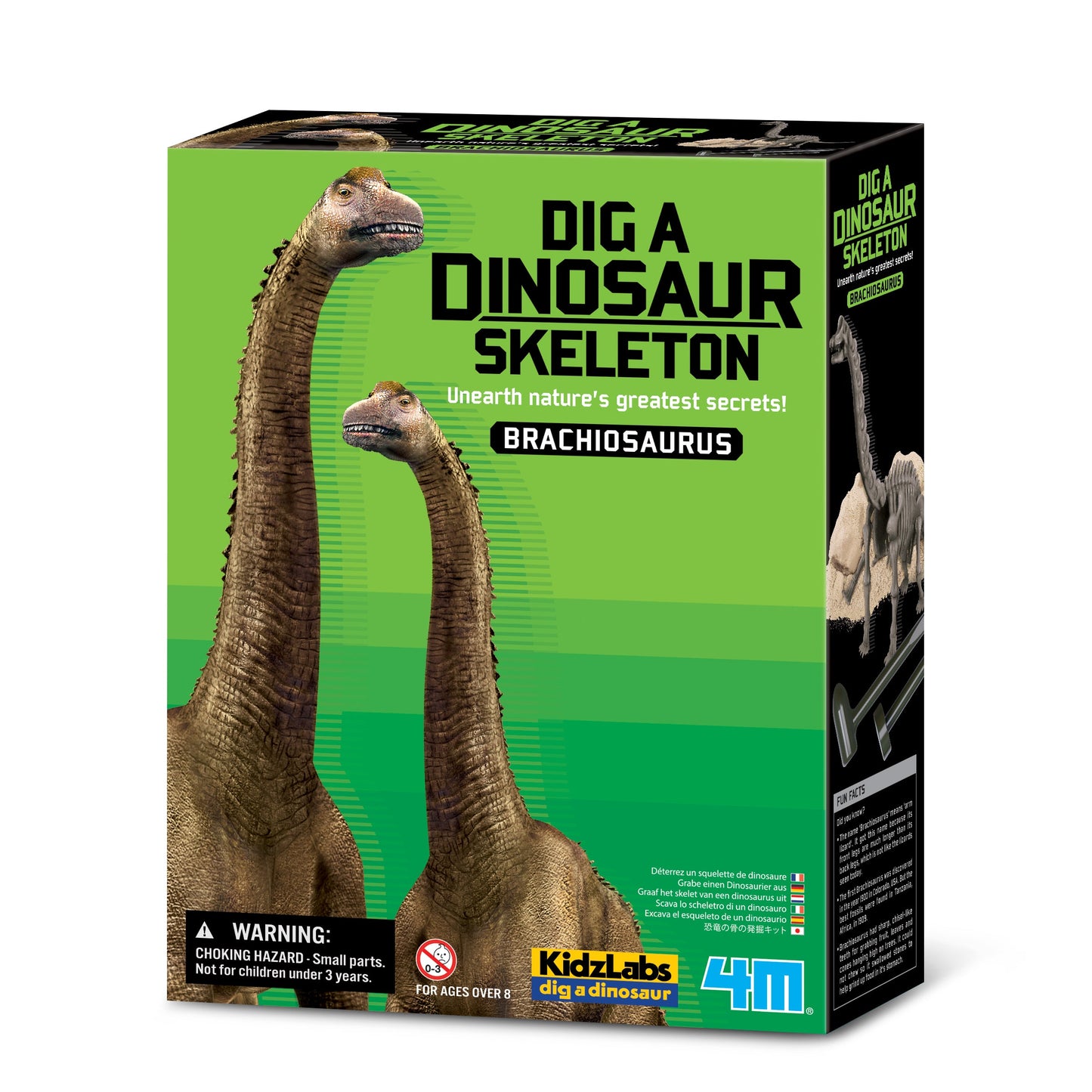 Brachiosaurus Skeleton Excavation Kit