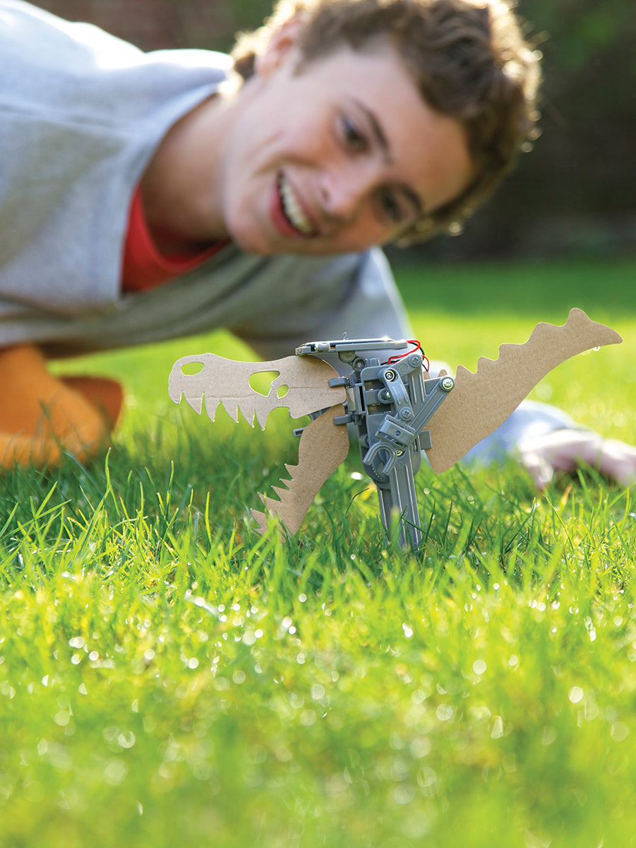 Green Science Solar Robot