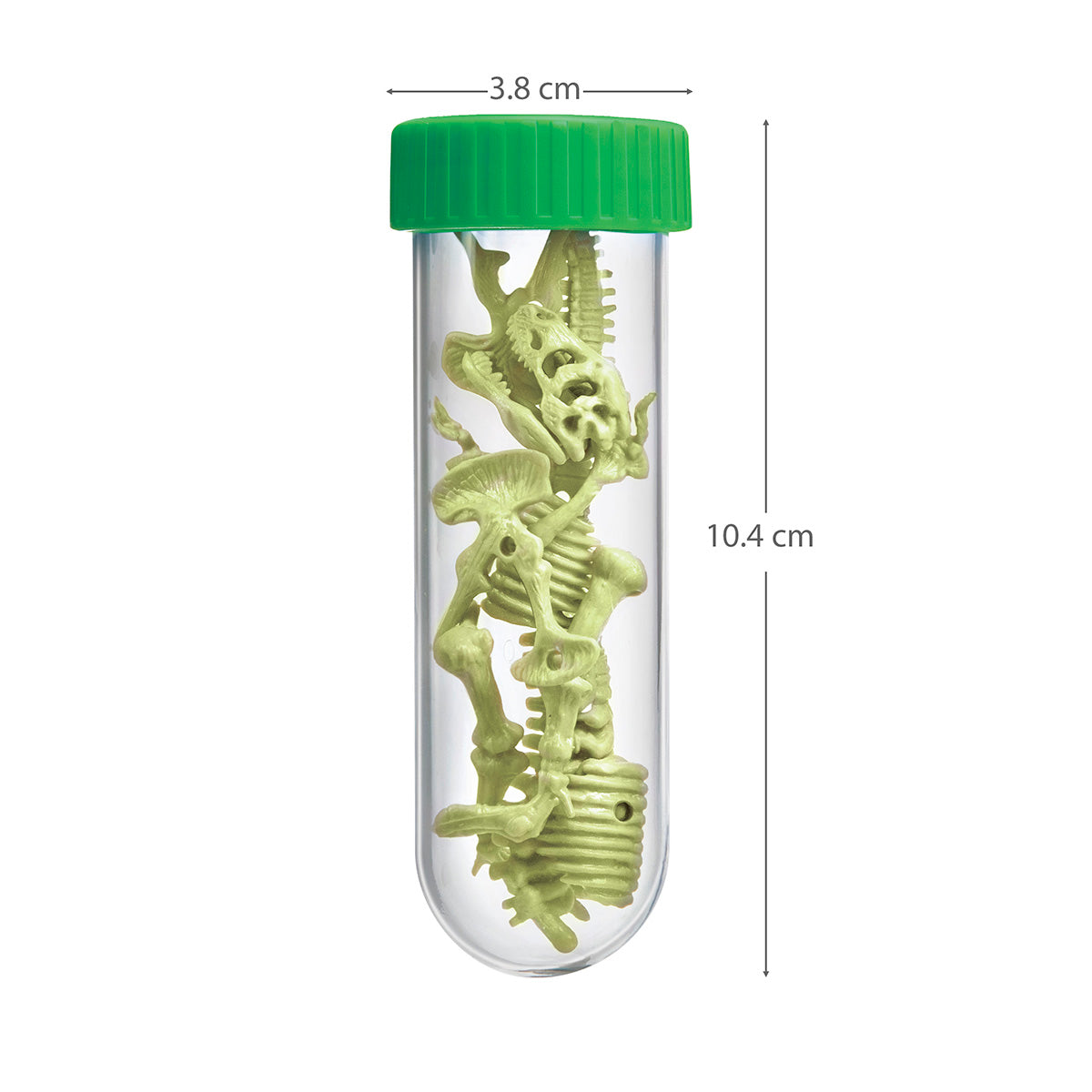 KidzLabs - Glowing TRex Skeleton