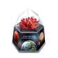 Crystal Imaginations Crystal Growing Kit Red