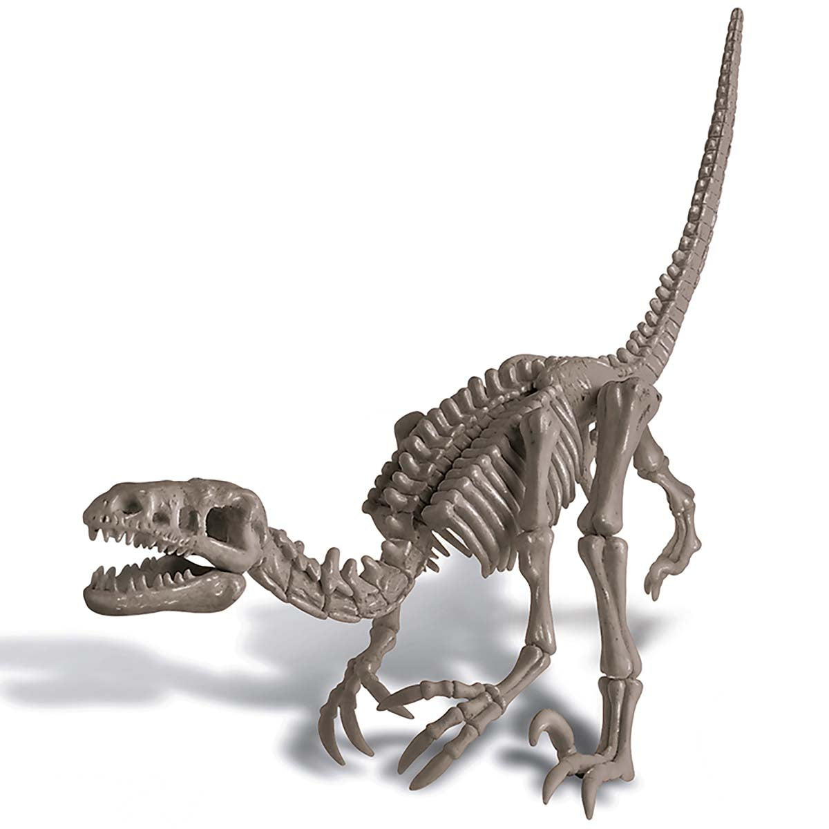 Jurassic world cheap skeleton toys